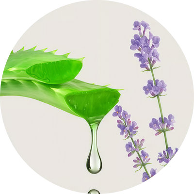 Aloe Vera & Lavender Oil